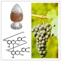 Grape Seed extract