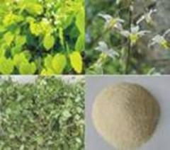 Epimedium extract