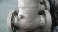 Check valve 4in 900LB RF flange end 1