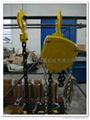 chain hoist  Chinese manufacturer