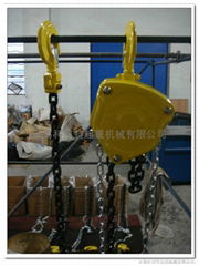 chain hoist  Chinese manufacturer