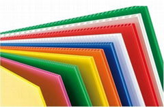 PP Corrugated Plastic Sheet