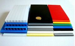 PP Corrugated Plastic Sheet/PP Coroplast Plastic Board