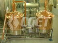 Micro Brewery Equipment 2