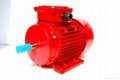 IE Cast Iron Frame 3 Phase Electric Motor 1