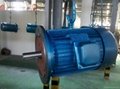 IE Cast Iron Frame 3 Phase Electric Motor 2