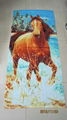 Cotton beach towel 4