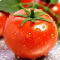 Lycopene