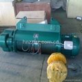 Electric Wire Rope Hoist 4