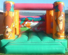 Bouncy castle