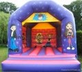 Bouncy castle 3