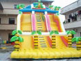 inflatable slide 5