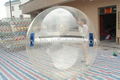 Water walking ball 1