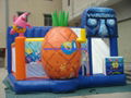 Bouncy castle 1