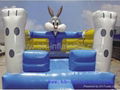 Bouncy castle 3