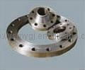 Carbon steel flange 2