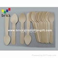 Wooden Ice-Cream Spoon 1