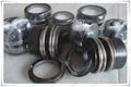 Elastomer bellow mechanical seal AS-EMG