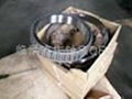 China  profession produce inch  tapered  roler   bearing  44643/44610 4