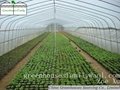 Hot Galvanizded High Tunnels Greenhouses from China