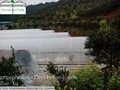 Hot Galvanizded High Tunnels Greenhouses from China 3