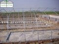 Hot Galvanizded High Tunnels Greenhouses from China 4