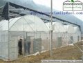 Commercial Agricultural Gutter Connected Greenhouses  3