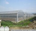 Plastic Gutter Greenhouses 2