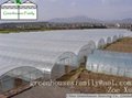 Galvanized Poly Tunnels Plastic Greenhouses 1