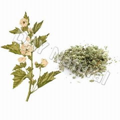 Herbal cigarette raw materials