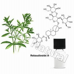 Stevia Extract