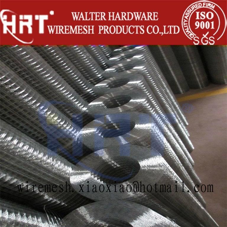 All Kinds Of Construction Welded Wire Mesh/Welded Mesh(Factory) 3
