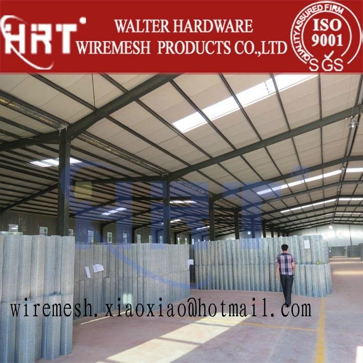 High-quality Welded Wire Mesh (Stainless Steel & Galvanized) 2