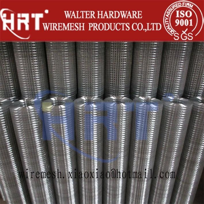 High-quality Welded Wire Mesh (Stainless Steel & Galvanized) 3