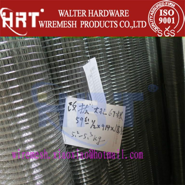 Welded wire mesh(hot dipped galavanzied )