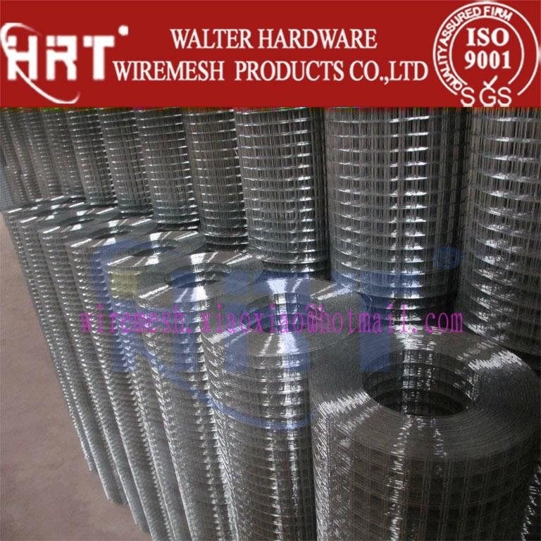 welded wire mesh(anping walter wire mesh factory)