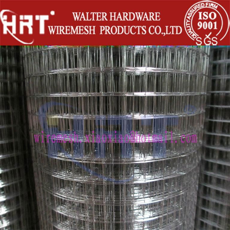 welded wire mesh(anping walter wire mesh factory) 2