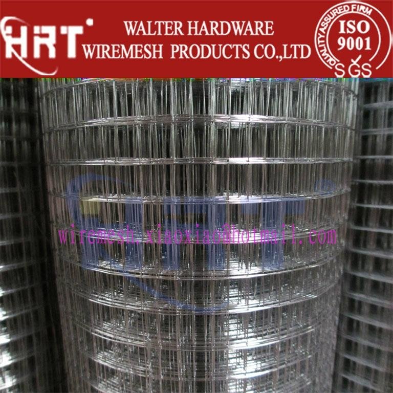 High Quality Galvanized & PVC Coated Welded Wire Mesh (factory)