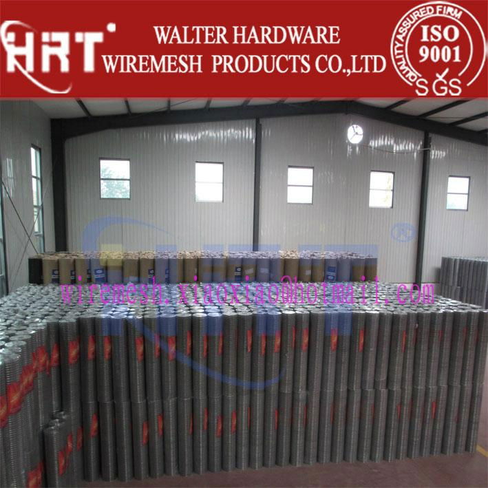 we are porfessional manufacturer for welded wire mesh local in Anping of China 2