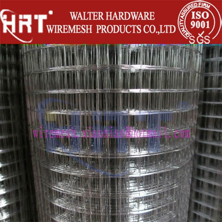 we are porfessional manufacturer for welded wire mesh local in Anping of China 3