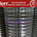 we are porfessional manufacturer for welded wire mesh local in Anping of China 3