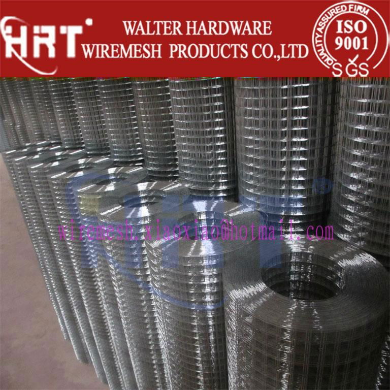 Galvanized and PVC coated welded wire mesh 3