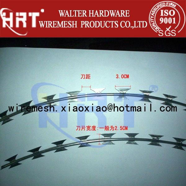 Hot Sale Galvanized RAZOR Barbed Wire Manufacturer 3