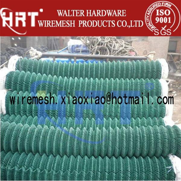 chain link fence (gavanized & PVC coated) 2