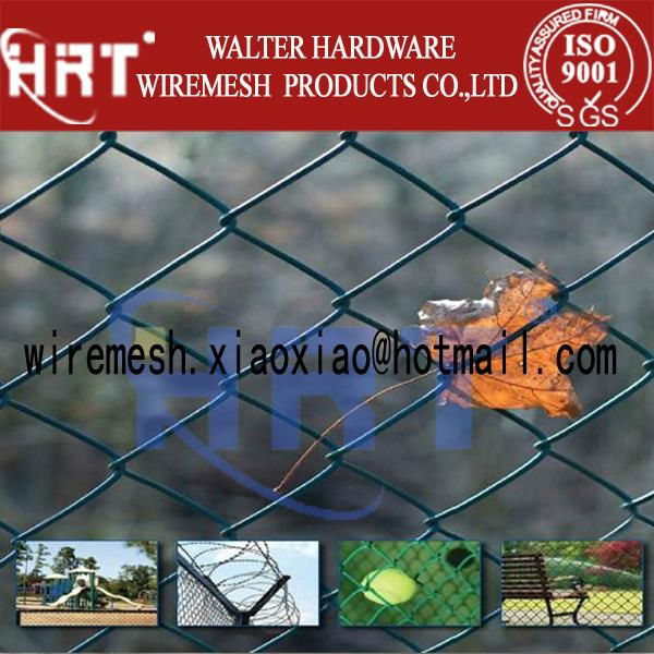 chain link fence (gavanized & PVC coated) 3