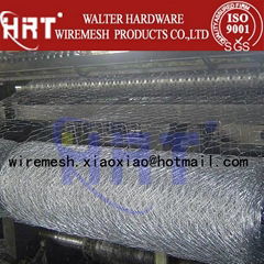 hexagonal wire mesh