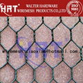 hexagonal wire mesh 2