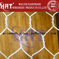 hexagonal wire mesh 3