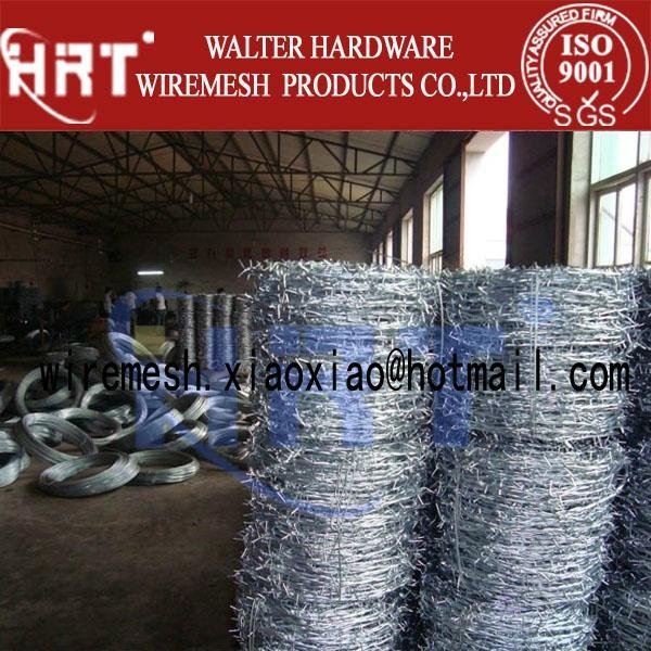 barbed wire Anping factory supplier 4