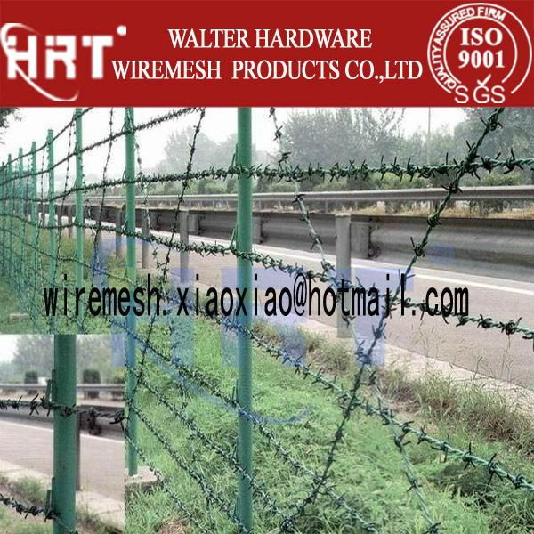 barbed wire Anping factory supplier 5